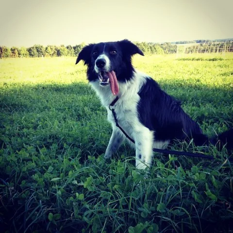 10598429_735386926497701_1613077387_n1