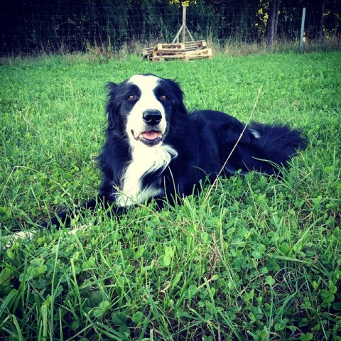 10684193_601913479917897_601140560_n1