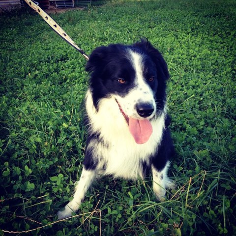 10691640_1472383019704280_1006910715_n1