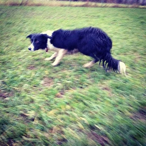 10784822_998994276794435_1401103036_n1