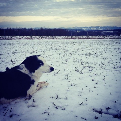 10725118_914684101883508_810733417_n1