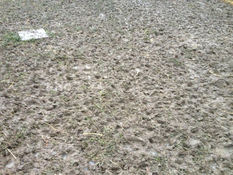 Igelleiten Gatsch 02