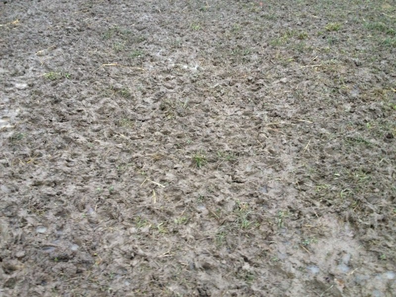 Igelleiten Gatsch 03