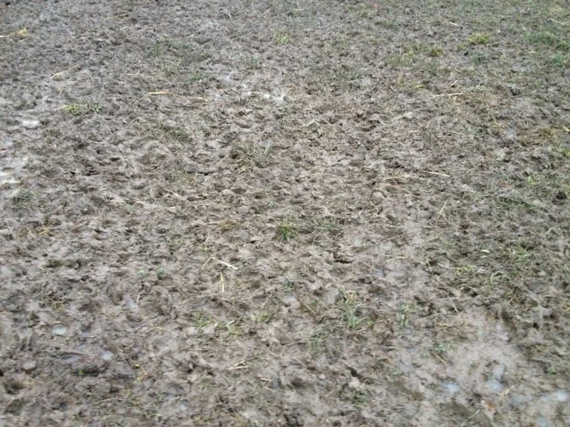 Igelleiten Gatsch 03