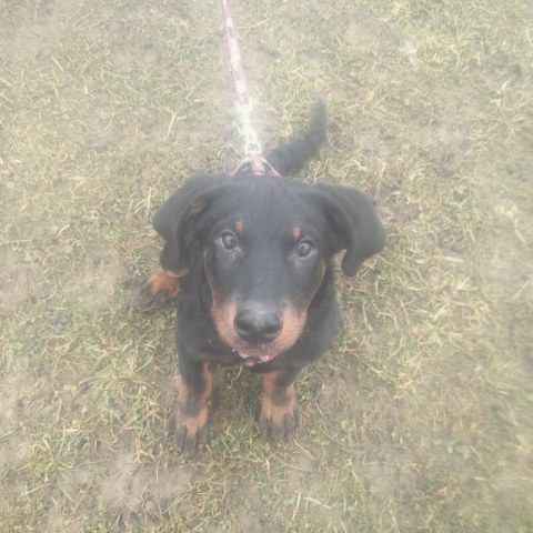 10832225_1611334462422152_1261928768_n