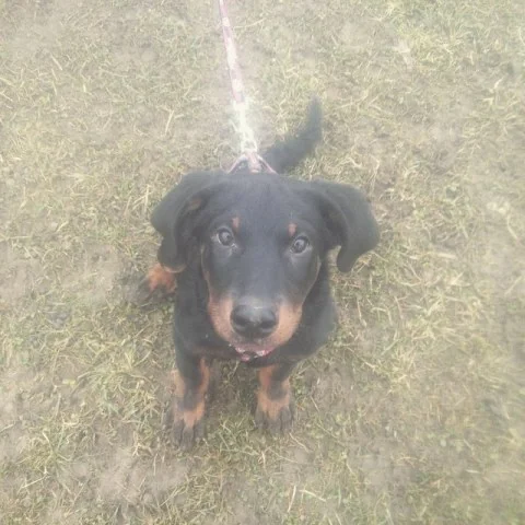 10832225_1611334462422152_1261928768_n