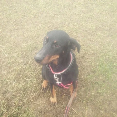 10919316_415781288589013_214558969_n