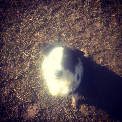 10958179_1555468548037650_674027240_n1