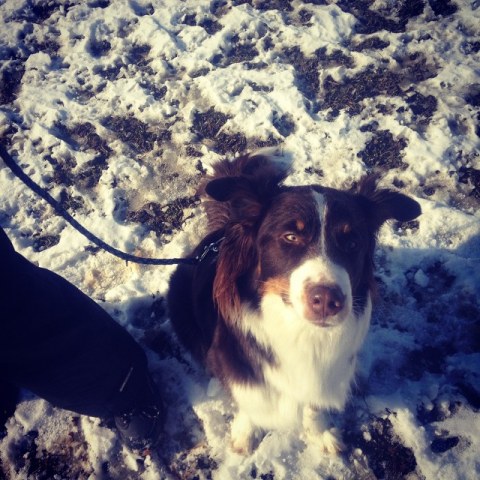 10986008_707639026024355_1727241351_n