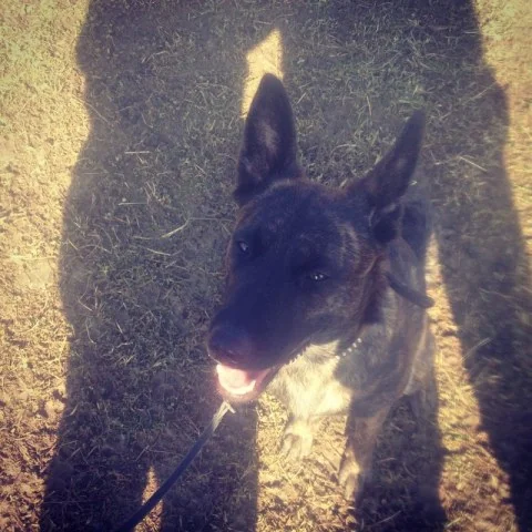 10995247_776291745796779_1948229471_n1