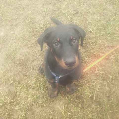 11008277_808029749286338_1565163659_n5