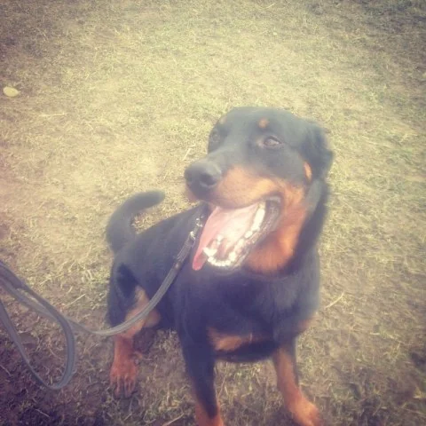 11018369_1609057525981841_1691105326_n