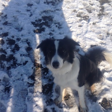 1737138_848577131871531_589795091_n1