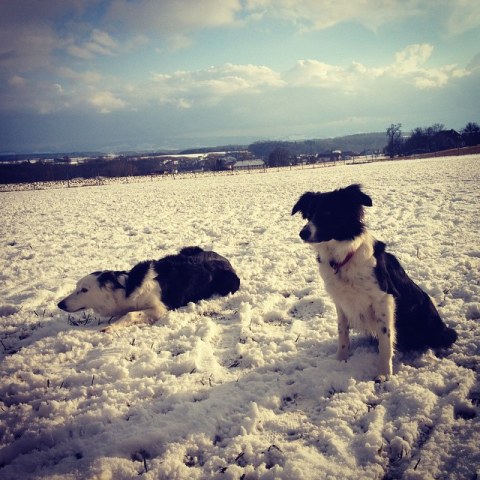 1799688_733688726746134_1622204610_n