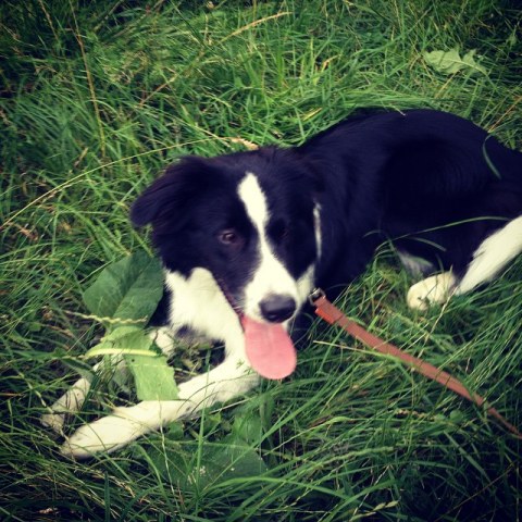 11374611_1627884310790915_1127720984_n1