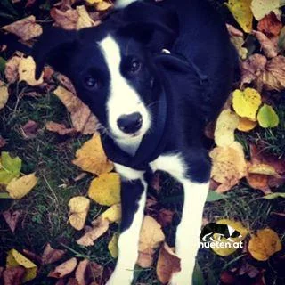 12070911_177918029215006_1960382997_n1