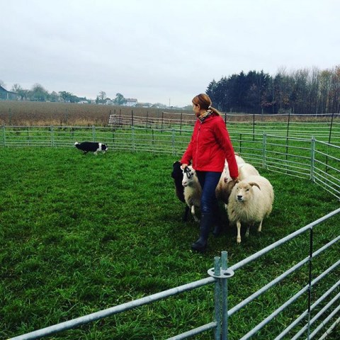 12142484_1045626008792490_1025362127_n