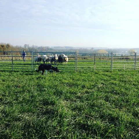 924602_465207826996997_627788600_n