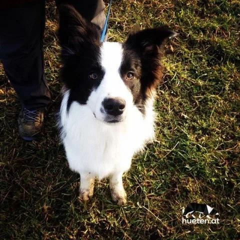 12357482_758556657607863_1509872222_n