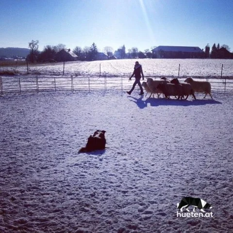 12545402_656715637802923_628768672_n