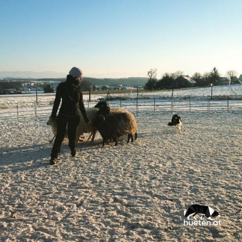 12547515_471512433056862_1406059801_n