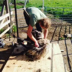 13181430_635097946639519_1600332585_n