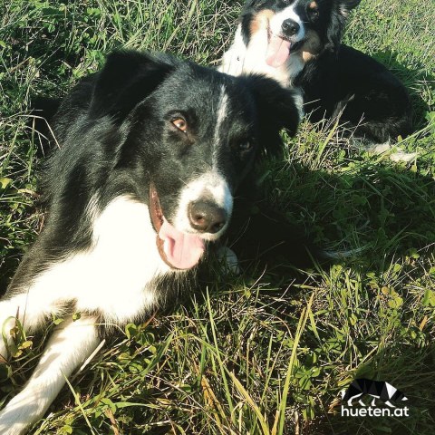 14334528_1157325984361008_4643717772851806208_n