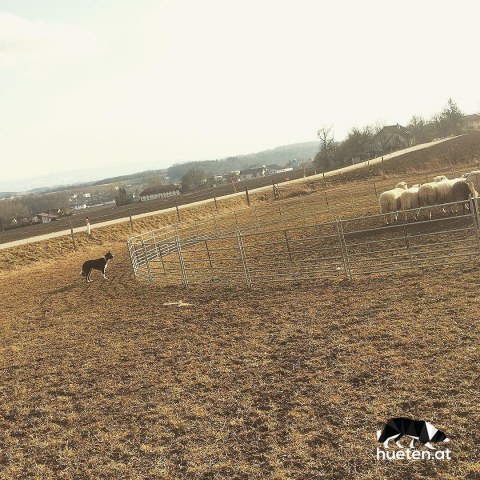 16789966_268899063547977_3215522034603786240_n