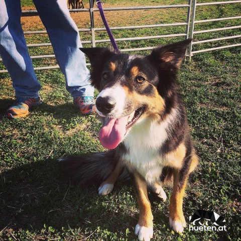 17880998_1837408519848131_7623803667522519040_n