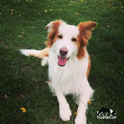 17881001_1378113015583532_6483323471991406592_n