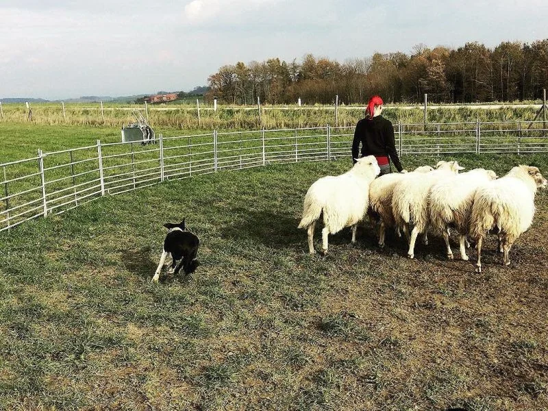 23161013_210400702834801_3292414683780218880_n Floss