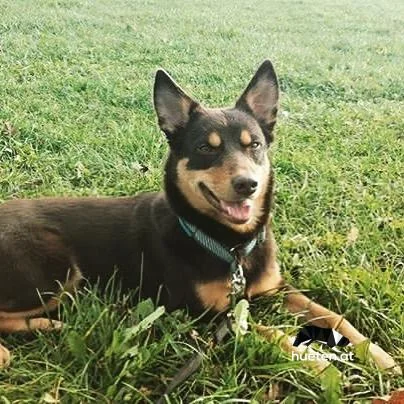 23164777_923810214461374_2567039873361903616_n