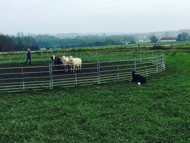 23417305_1852328168321159_2449485428764442624_n Ben