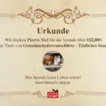 Spender_Urkunde_Pierre_Niel_377359