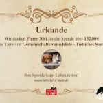 Spender_Urkunde_Pierre_Niel_377359