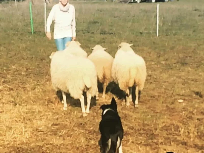 42496445_327112188076237_1545085607880638990_n Jack & Nina