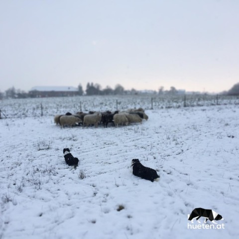 46257031_320855248517686_8498663673018177740_n