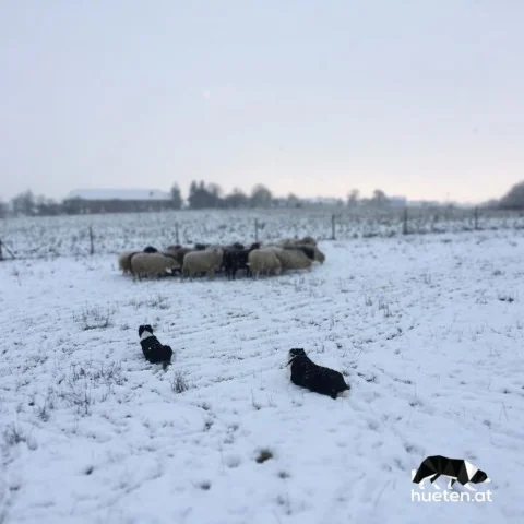 46257031_320855248517686_8498663673018177740_n