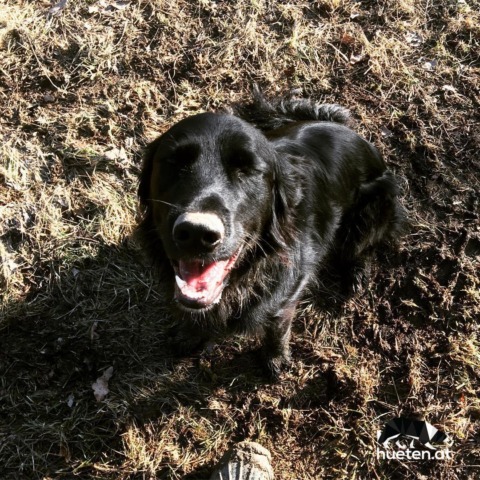 50513905_344083783101601_8297612262904041226_n