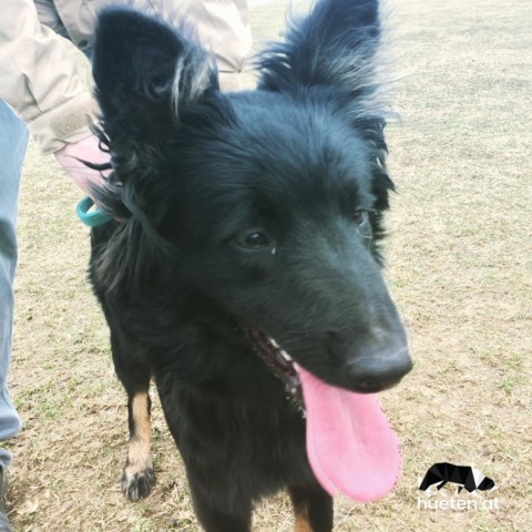 52905944_2595691507112589_679153035934348532_n