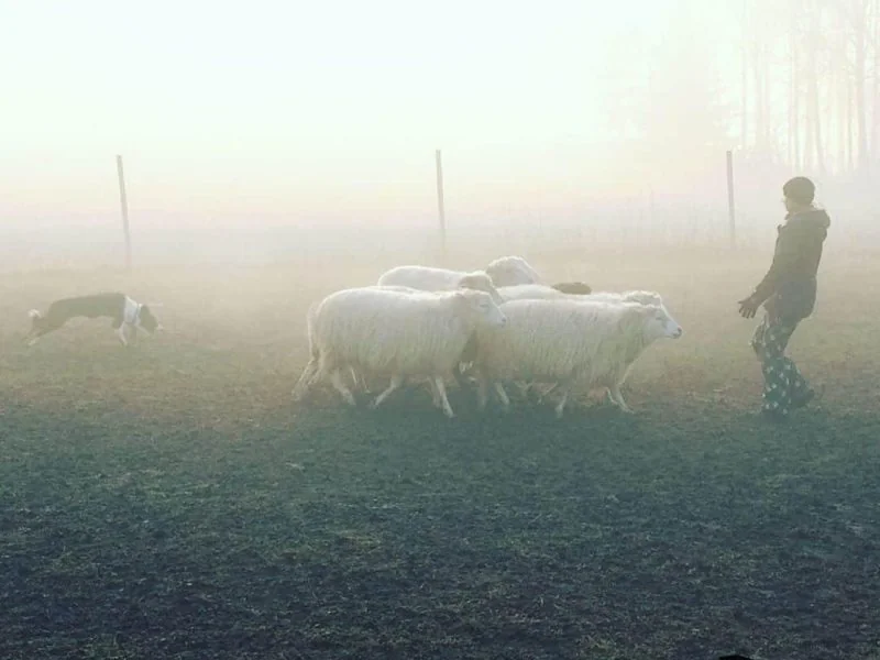 82246722_786871221824757_8796225670548112419_n Styx - In den Wolken