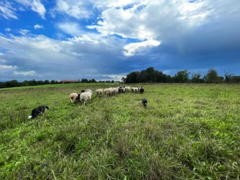 306035155_631422828620570_5448429231663126339_n