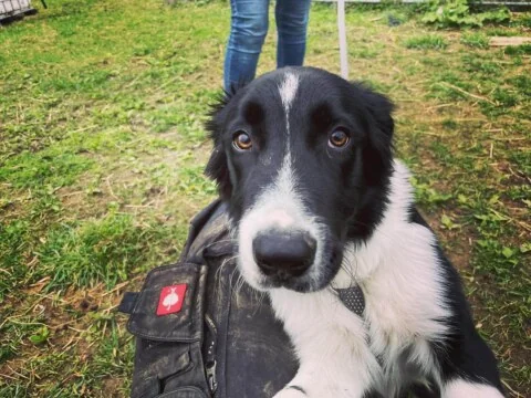 Image Not Found On Media Library