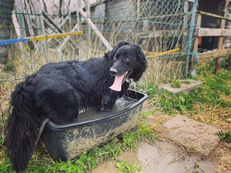 339120912_522667926727358_4213981485351301066_n Mo