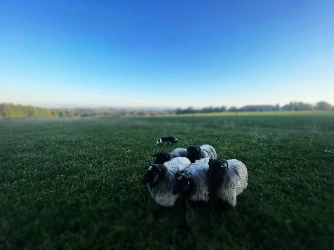 Trainingssaison_2023_2024