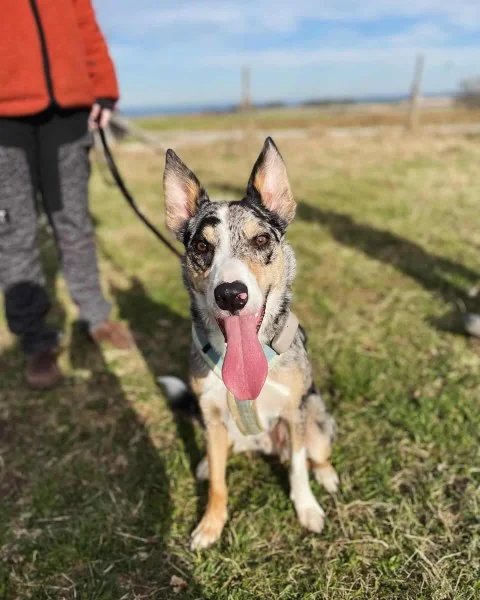 431257094_1378225892809504_7900387488795067105_n